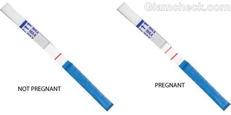 how to read a pregnancy test with two lines